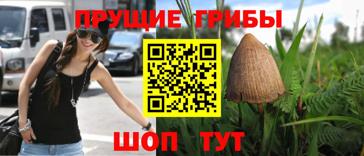 Псилоцибиновые грибы ЛСД Волгодонск